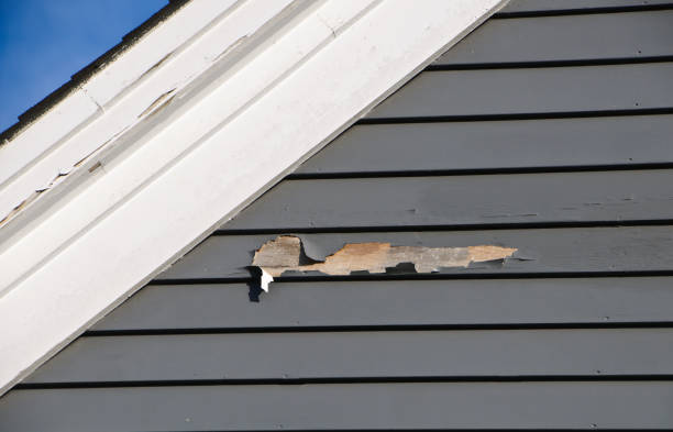 Same-Day Junk Removal Services in Shiner, TX